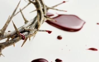 https://marianos.org/sites/default/files/field/image/crown_of_thorn.jpg