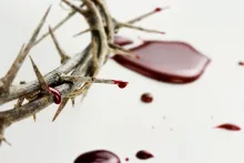 https://marianos.org/sites/default/files/field/image/crown_of_thorn.jpg
