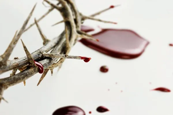 https://marianos.org/sites/default/files/field/image/crown_of_thorn.jpg